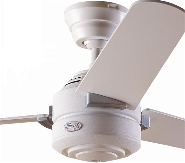 Revolution 52 Ac Fan With Polymer Aerofoil Blades With Remote